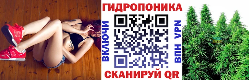 Где купить наркотики Сураж АМФЕТАМИН  omg ONION  Меф мяу мяу  Канабис  КОКАИН 