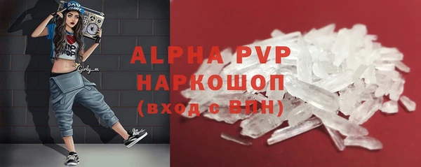 шишки Абаза