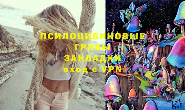 таблы Алзамай