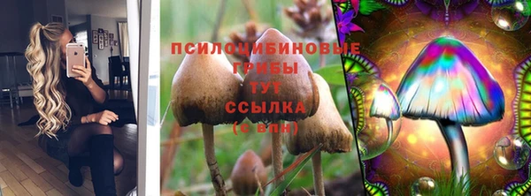 таблы Алзамай