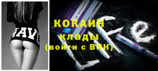 прущие грибы Медвежьегорск