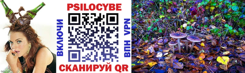 Псилоцибиновые грибы ЛСД  где купить наркотик  Сураж 