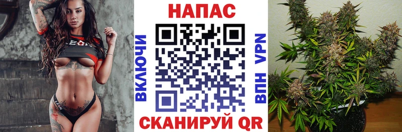 Бошки марихуана гибрид  Сураж 